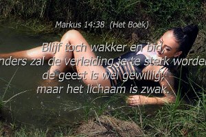 Mark1438-Boek